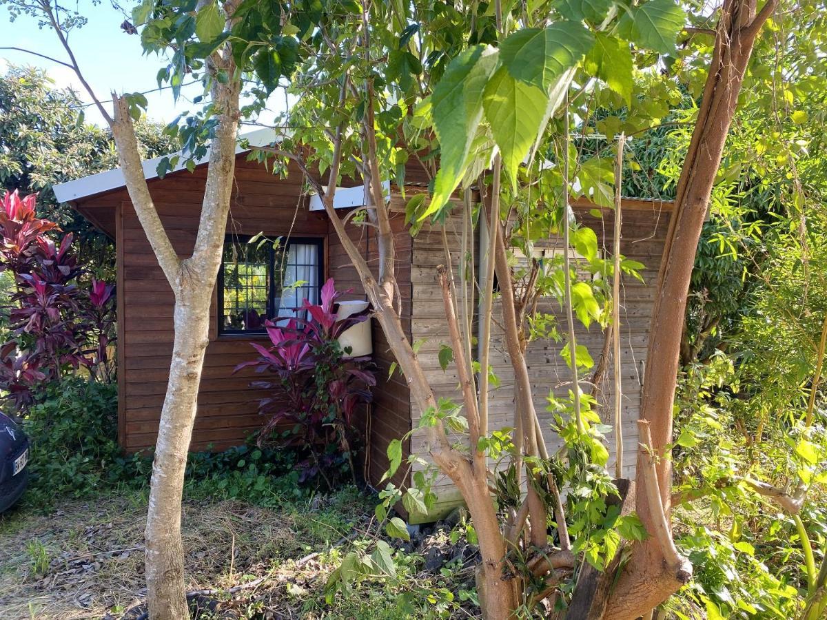 Chalet Pittoresque A Le Tampon, Vue Mont. Exterior photo